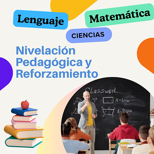 RECUADRO NIVELACION PEDAGOGICA